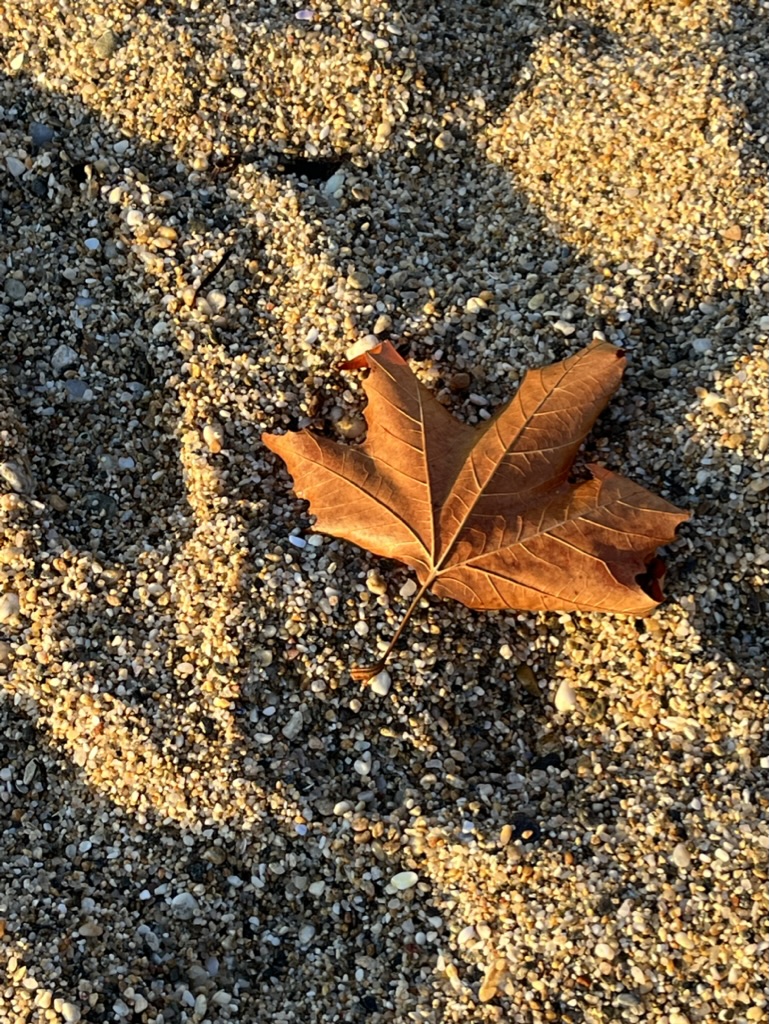 Development and Deployed Apps